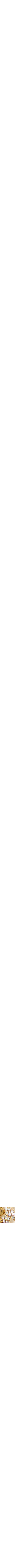 Assorti