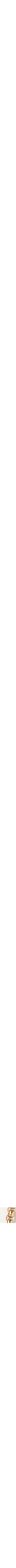 Assorti