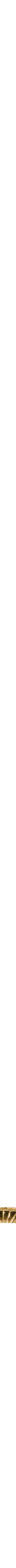 Assorti