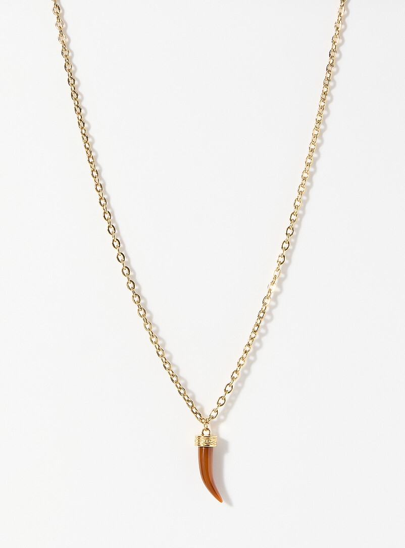 Horn pendant chain product image (primary)