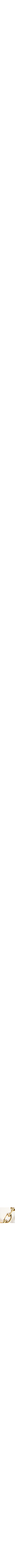 Assorti