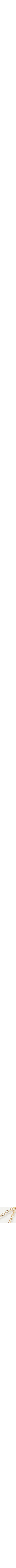 Assorti