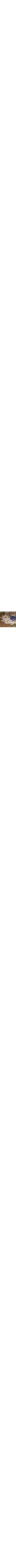 Vert à motifs