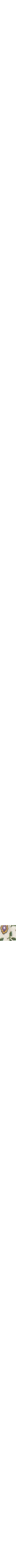 Pourpre à motifs