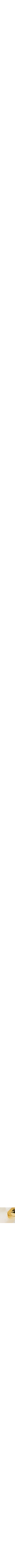 Assorti