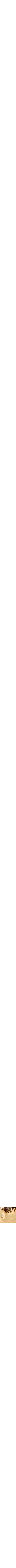 Assorti