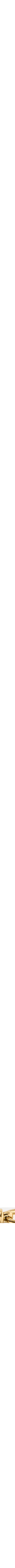 Assorti