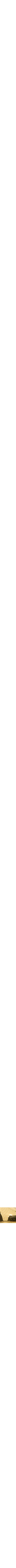 Assorti