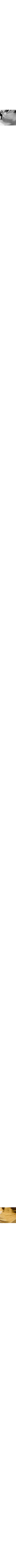 Doré