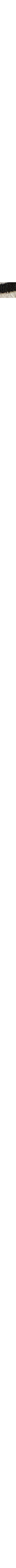 Blanc et noir