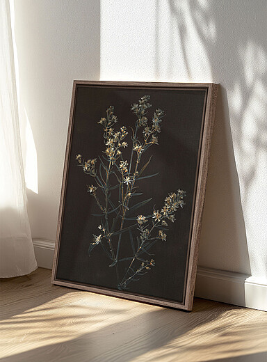 Silvery Flower art print See available sizes
