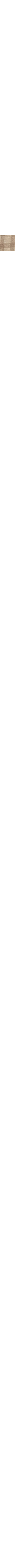Patterned Ecru