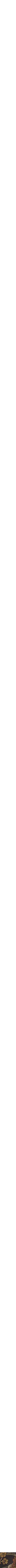 Assorti