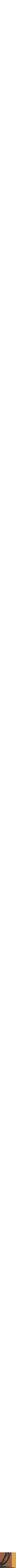 Assorti