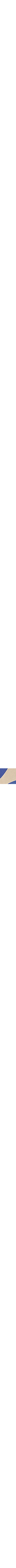 Bleu à motifs