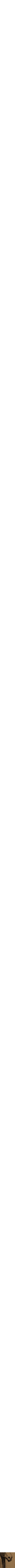 Brun à motifs
