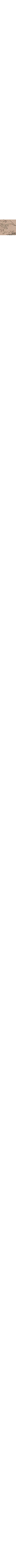 Écru - Lin