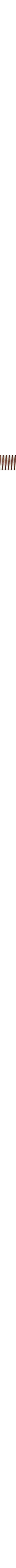 Brun à motifs