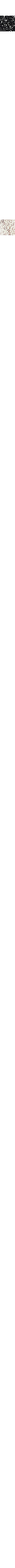 Écru - Lin