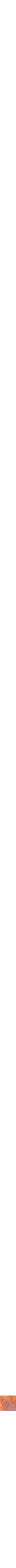 Orange à motifs