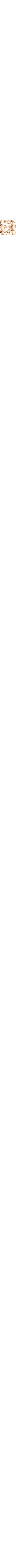 Écru - Lin
