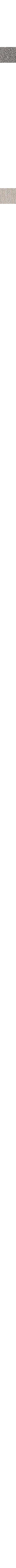Charbon