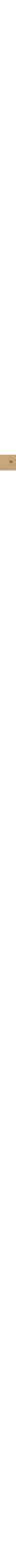 Brun à motifs