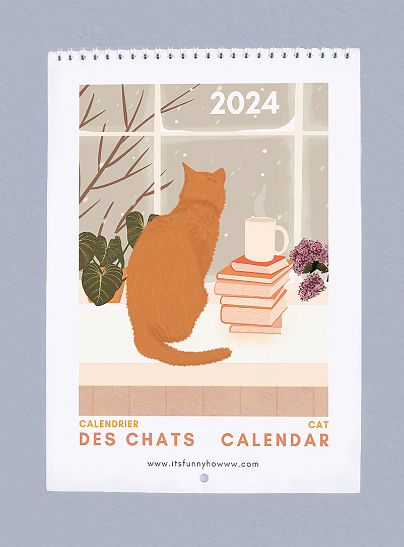 Its Funny Howww Assorted Cats 2024 calendar 8.5" x 11"