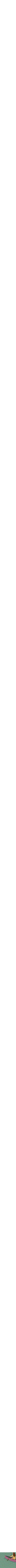 Assorti