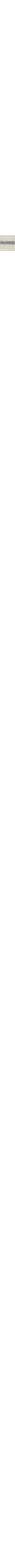 Patterned Ecru