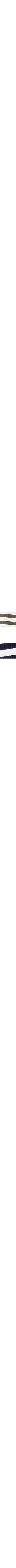 Vert à motifs
