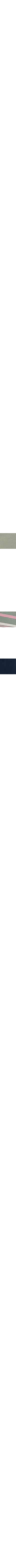 Vert à motifs
