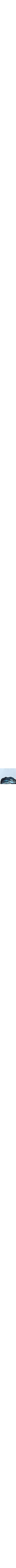 Bleu à motifs
