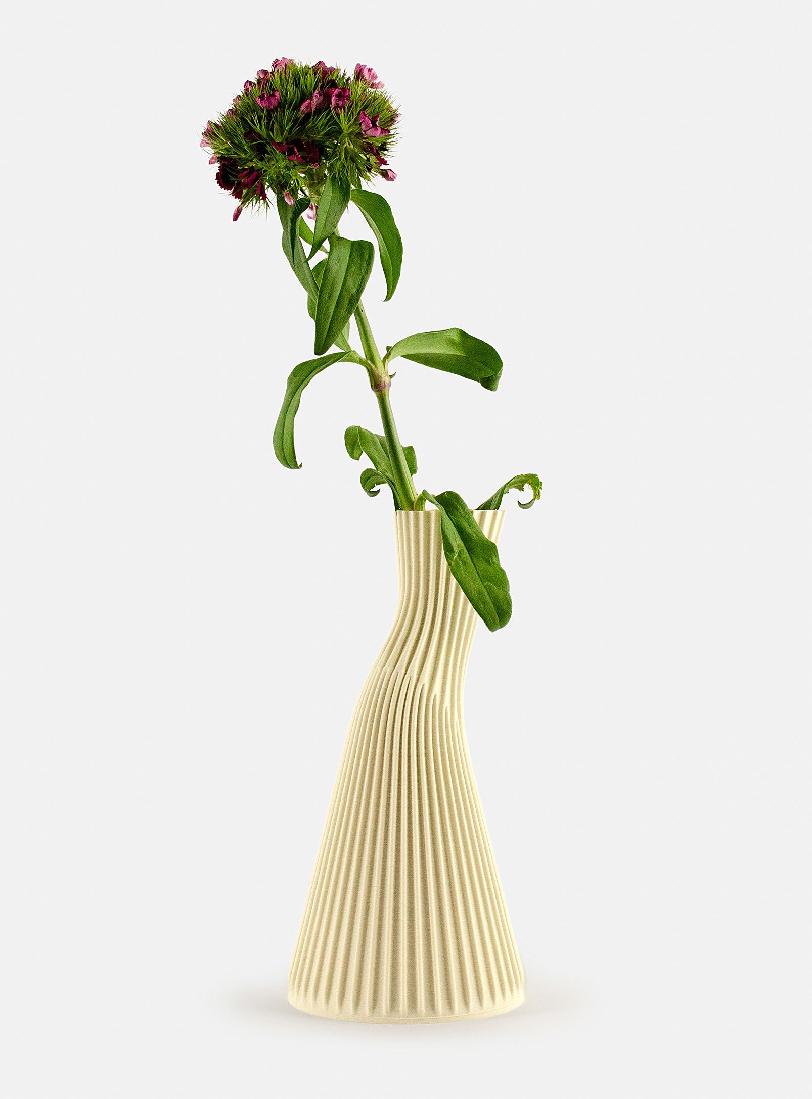 Cyrc. Conan Multiple Life Vase 26 Cm Tall In Ivory White