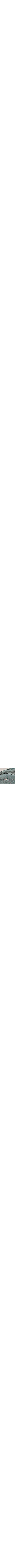 Bleu à motifs