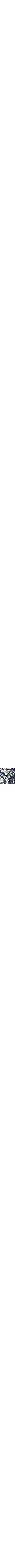 Patterned Blue