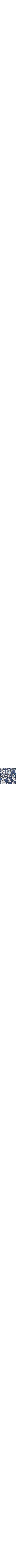 Patterned Blue