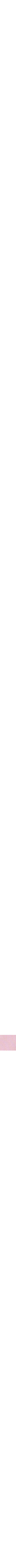 Rose à motif 