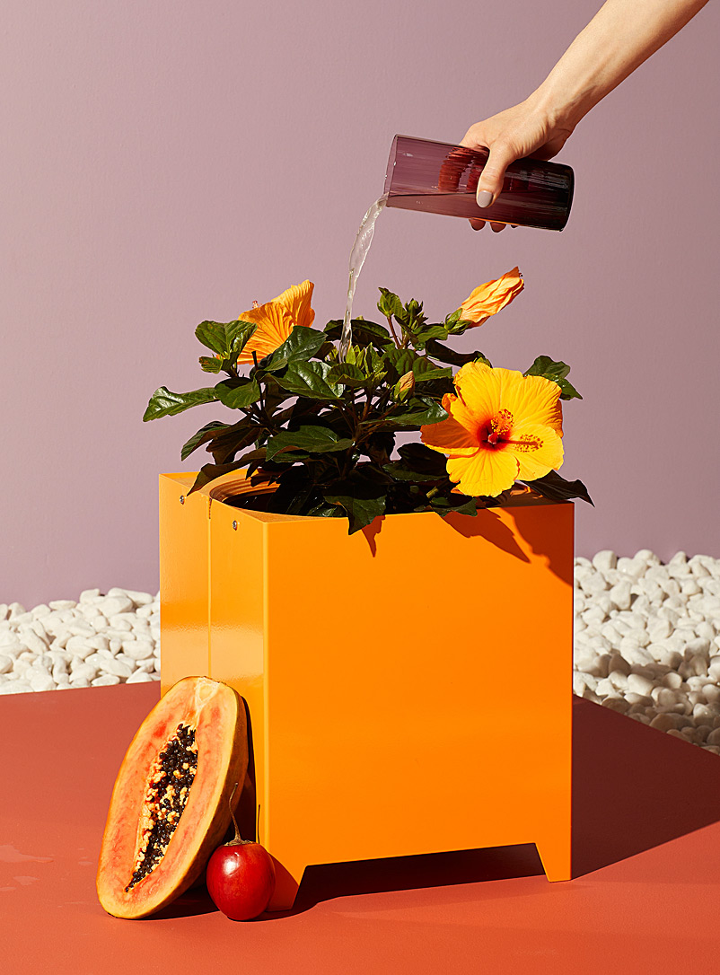 Butine: La boîte à fleurs Le Baquet Orange