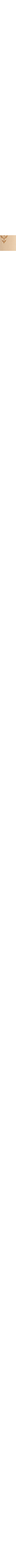 Patterned Ecru