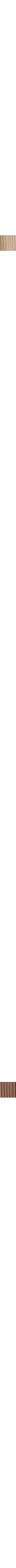Patterned Ecru