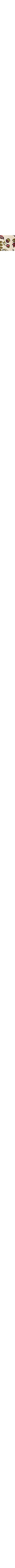 Patterned Ecru