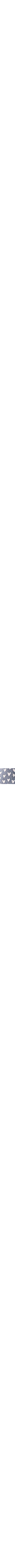 Patterned Blue