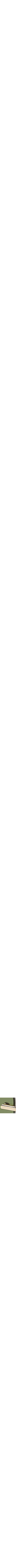 Jaune doré