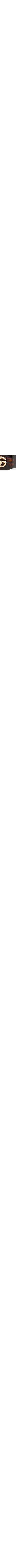 Brun à motifs