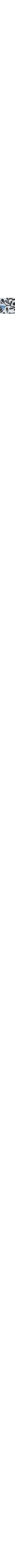 Blanc à motifs