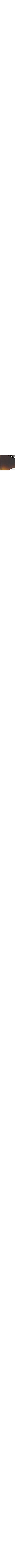 Brun à motifs