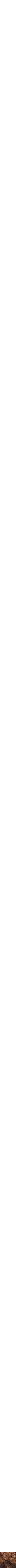 Assorti