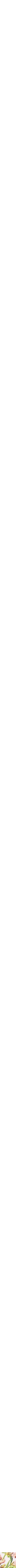 Assorti