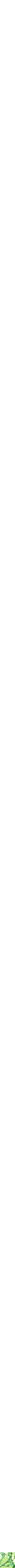 Assorti